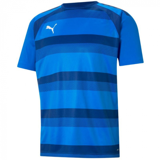 Pánské tréninkové tričko teamVision Jersey M 704921 02 - Puma